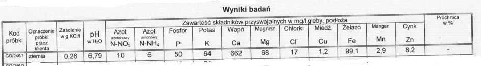 Czarnoziem.jpg