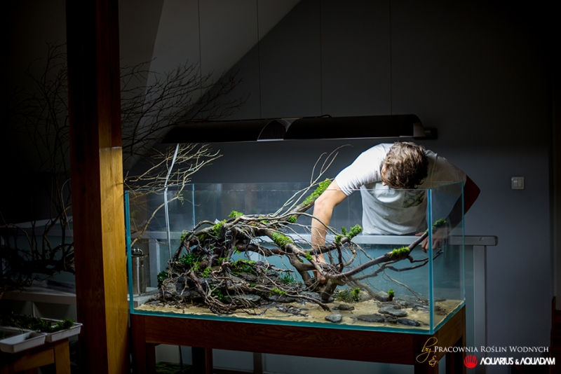 Projekt-150-Akwarium-Naturalne-Pracownia-Roslin-Wodnych - Aqua Design Amano_front_Jorge.jpg