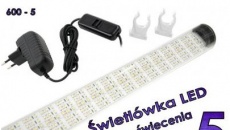 Oświetlenie LED do akwarium roślinnego