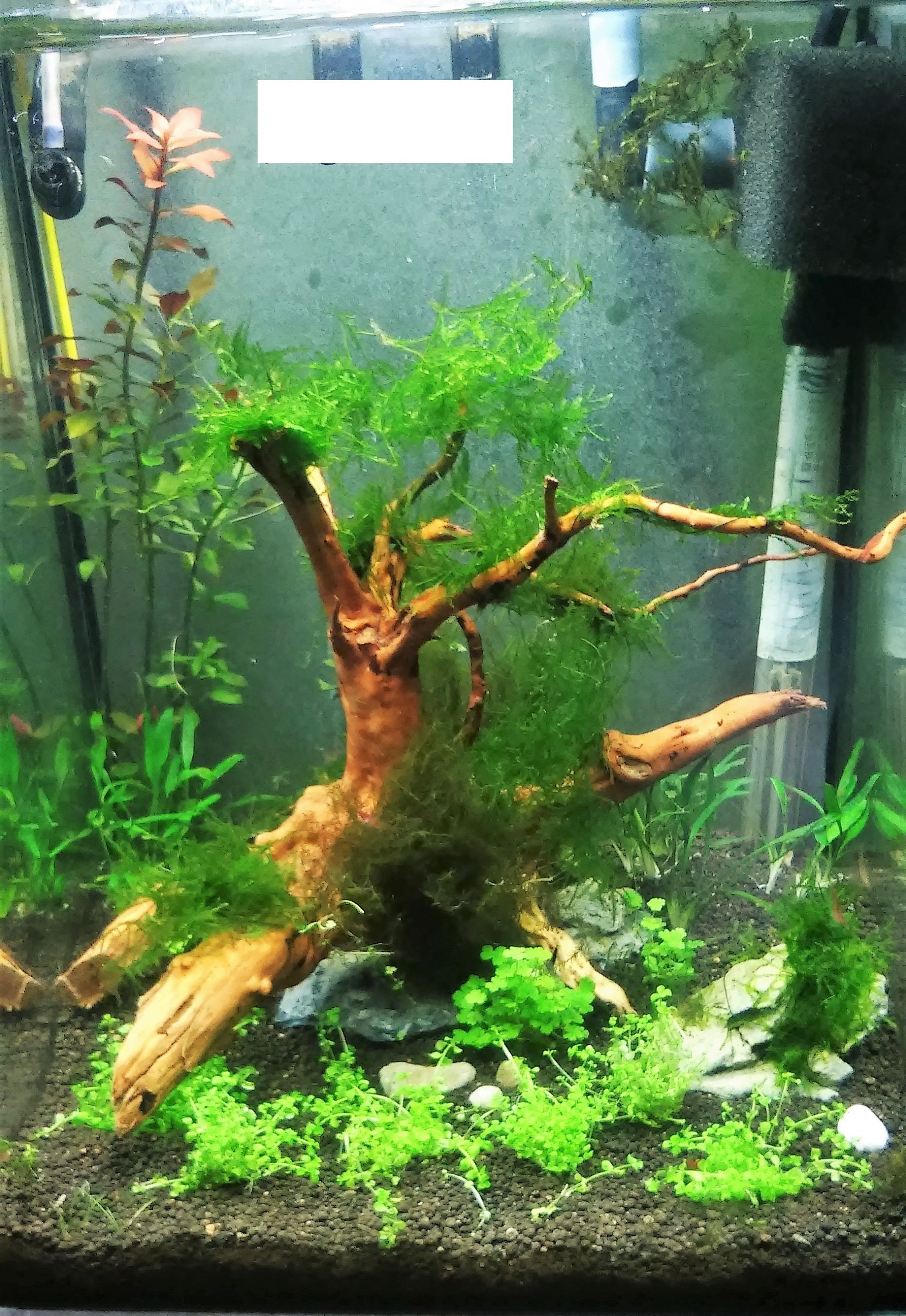 20151205_141329.jpg