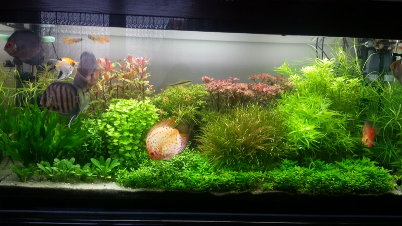 20151206_141821.jpg