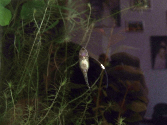 2007_04250008.JPG