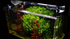 Test nawozu Water Boost Complex Plus 3w1