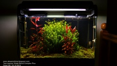 Test nawozu Water Boost Complex Plus 3w1