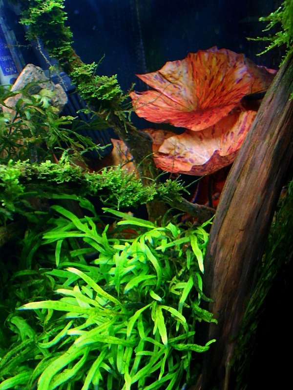 DSCN1879.JPG
