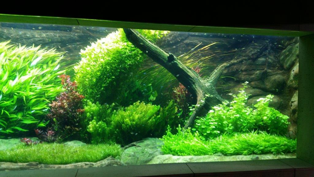 20151208_104210.jpg