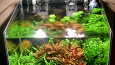 027l - Kitchen Wastes - waska