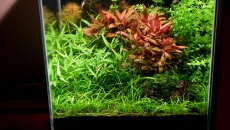 027l - Kitchen Wastes - waska