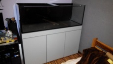 Pierwsze Iwagumi i 375L
