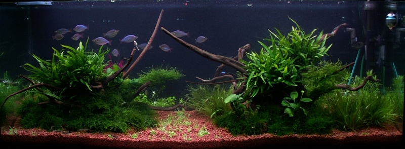 17.04.07.jpg