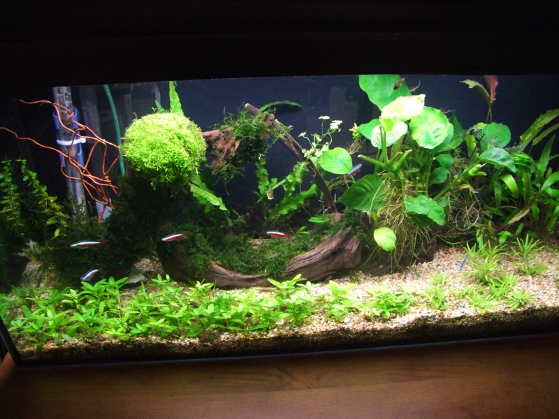 DSCF9583.JPG