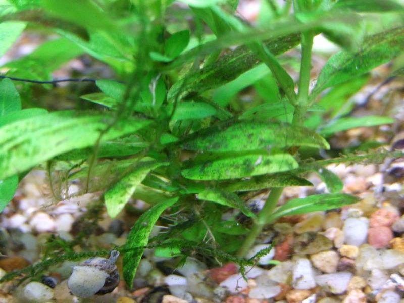 DSCF9582.JPG