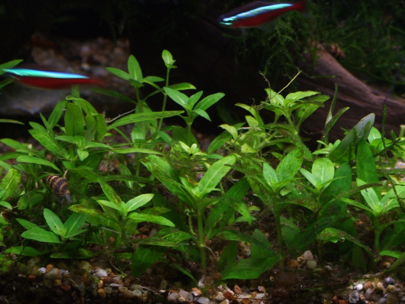 DSCF9586.JPG