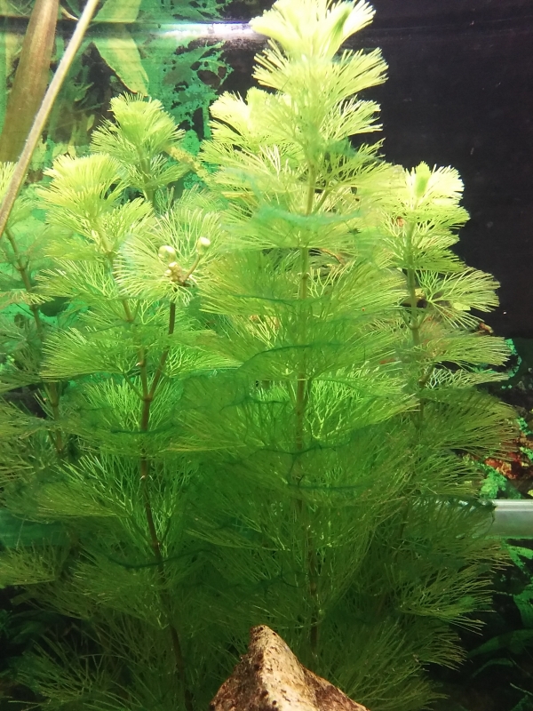 20160120_101129.jpg