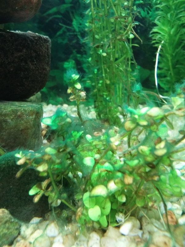 20160120_101225.jpg