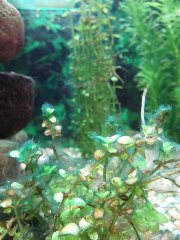 20160120_101252.jpg