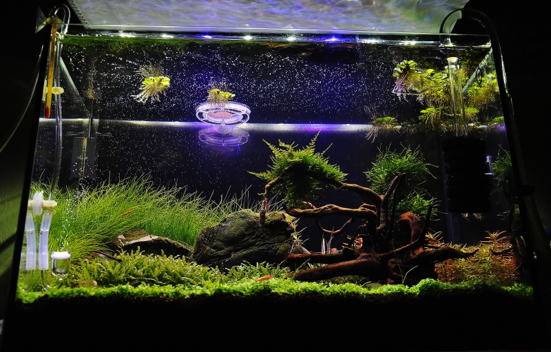 DSC_0573.JPG