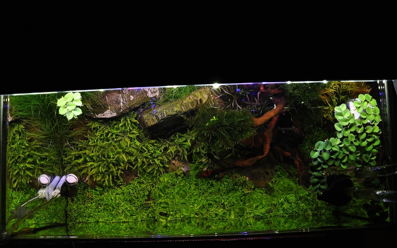 DSC_0601.JPG