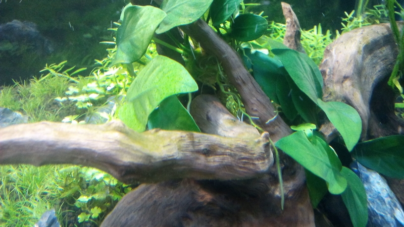 IMG_20160124_135638.jpg