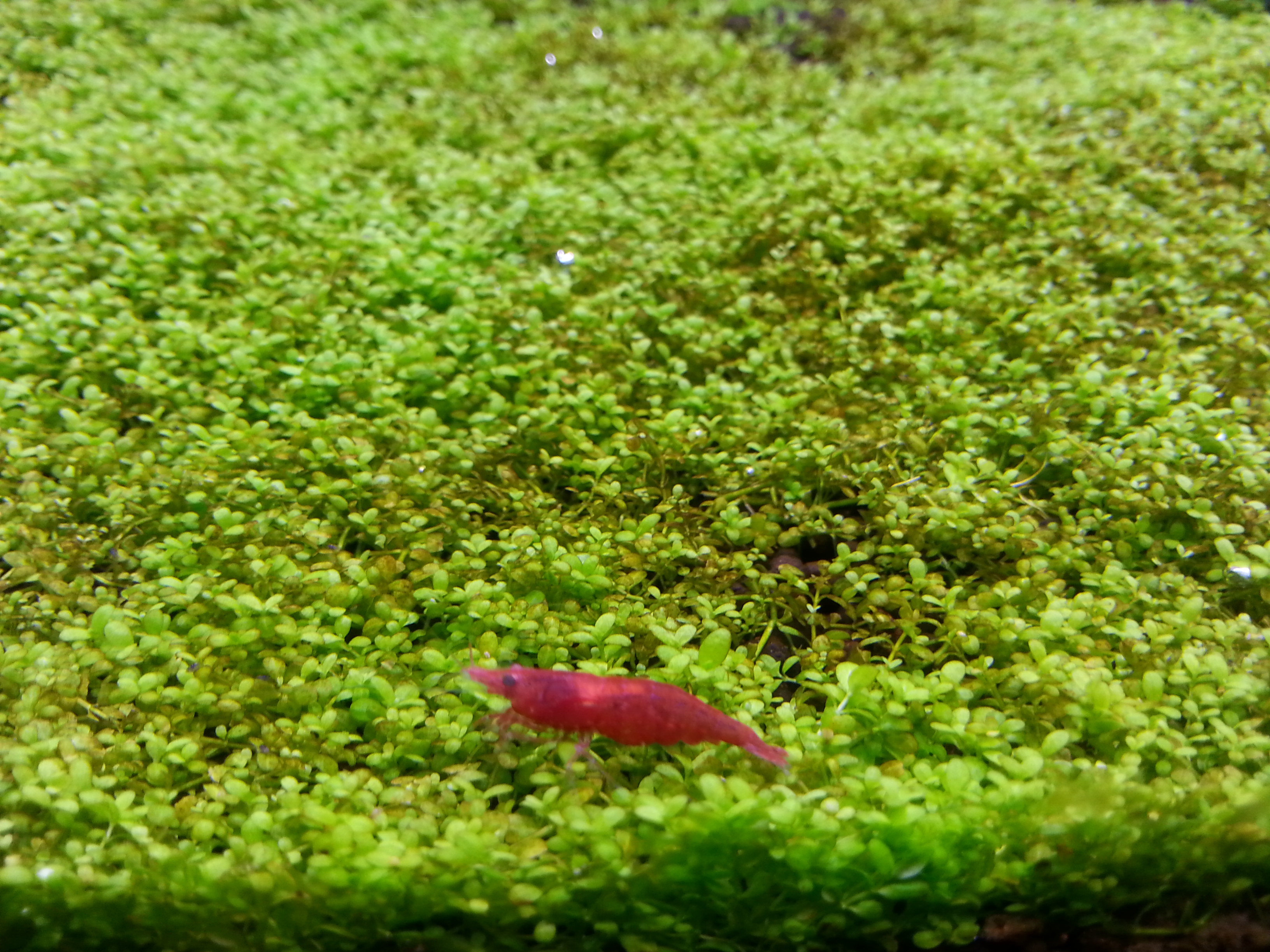 20160124_183915.jpg