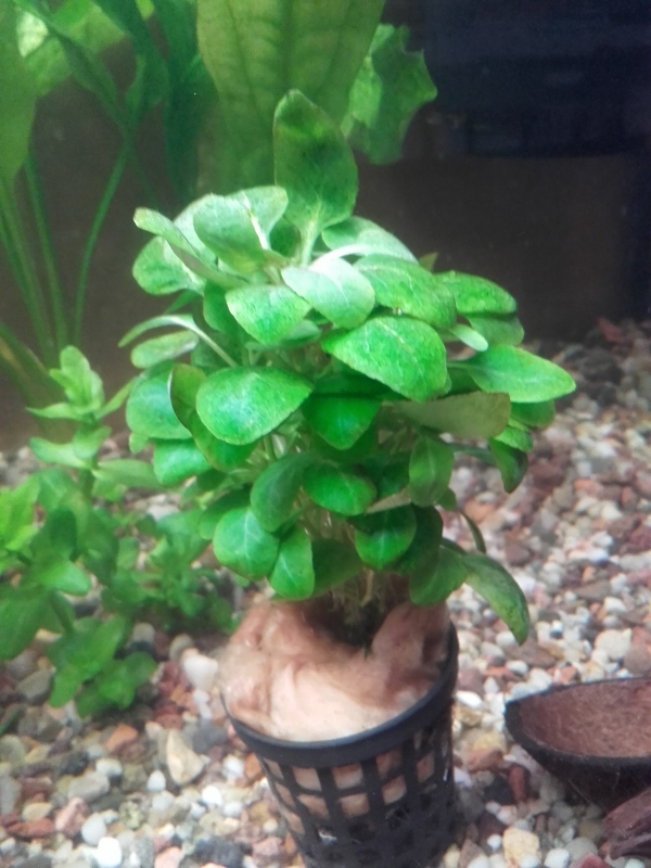 20160125_181126%5B1%5D.jpg