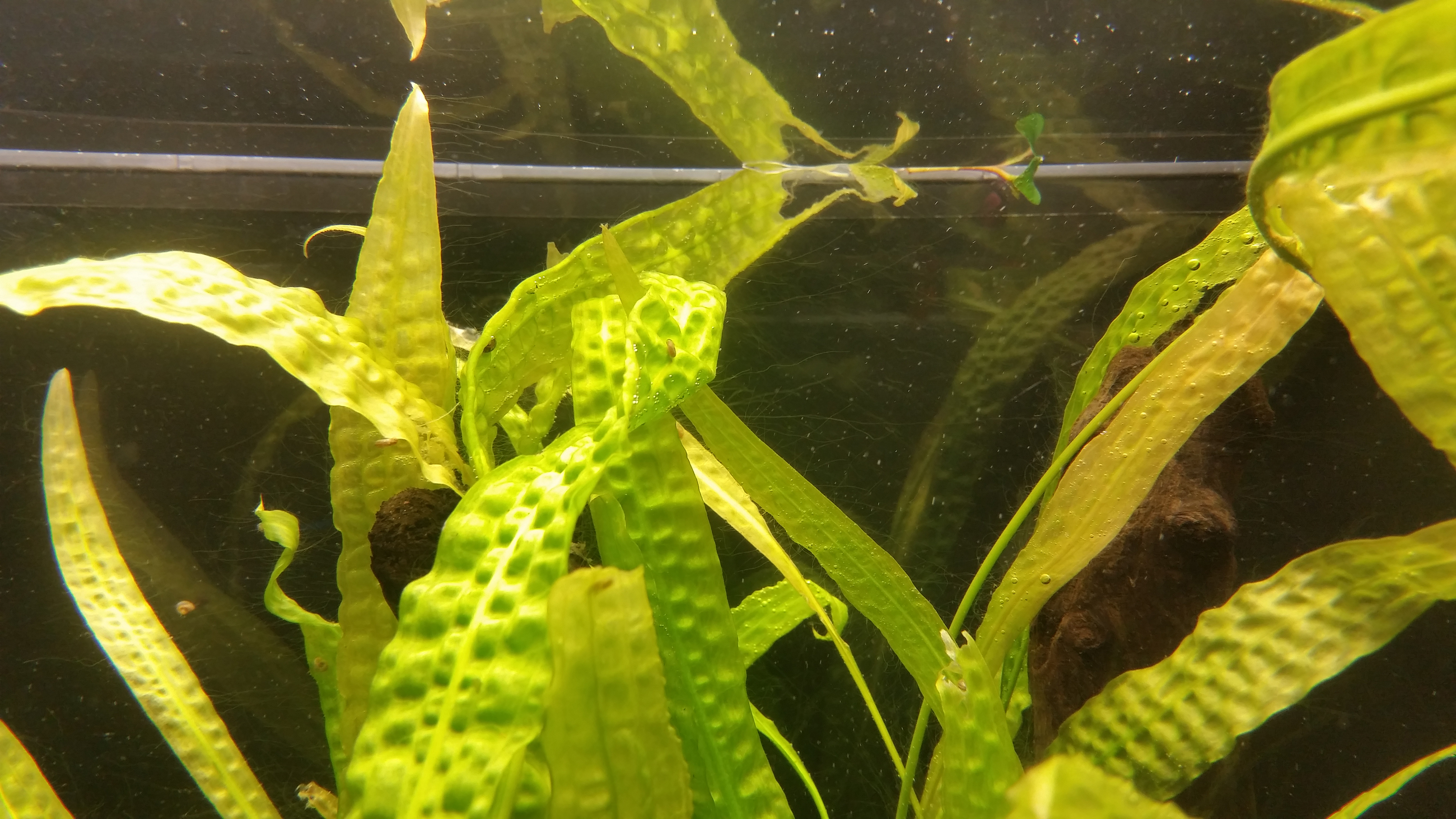 20160122_202752.jpg