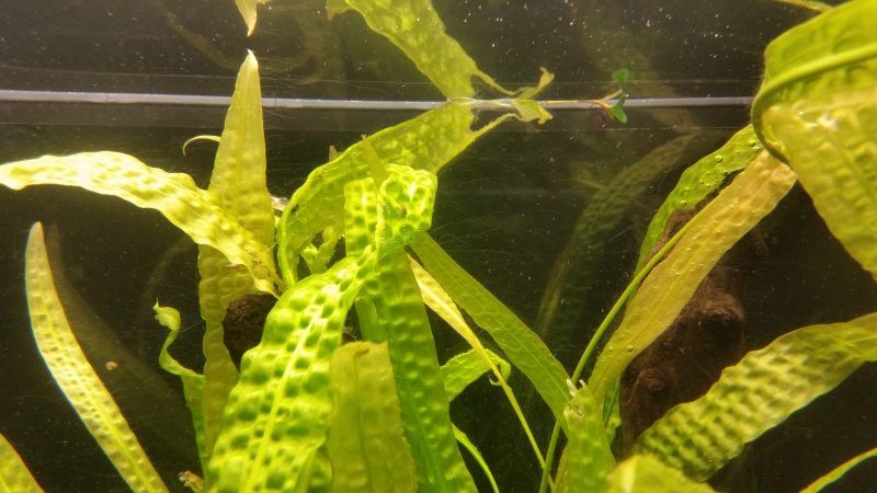 20160122_202752.jpg