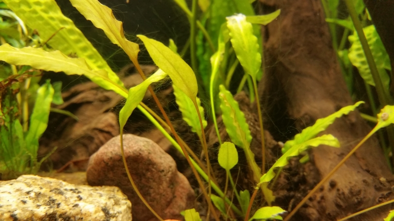 20160122_202810.jpg