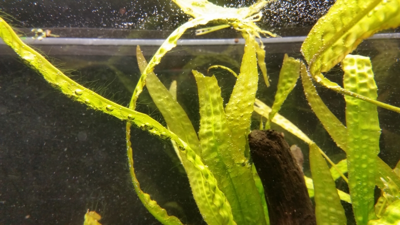 20160125_230638.jpg