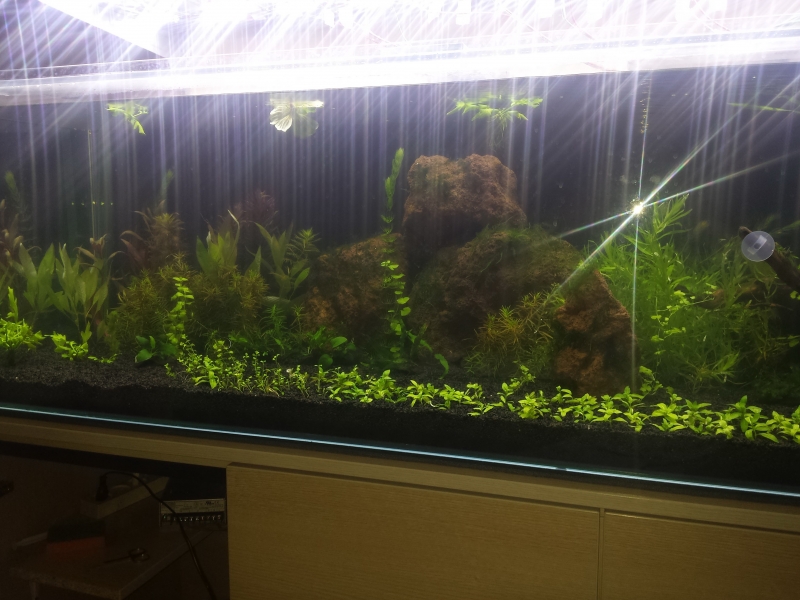20160125_202505.jpg