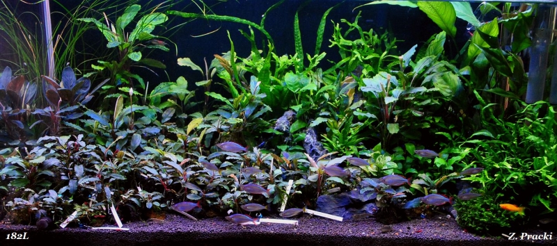 182l (1).JPG