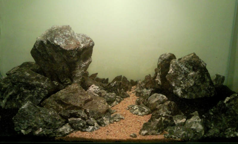 SNC00846.jpg