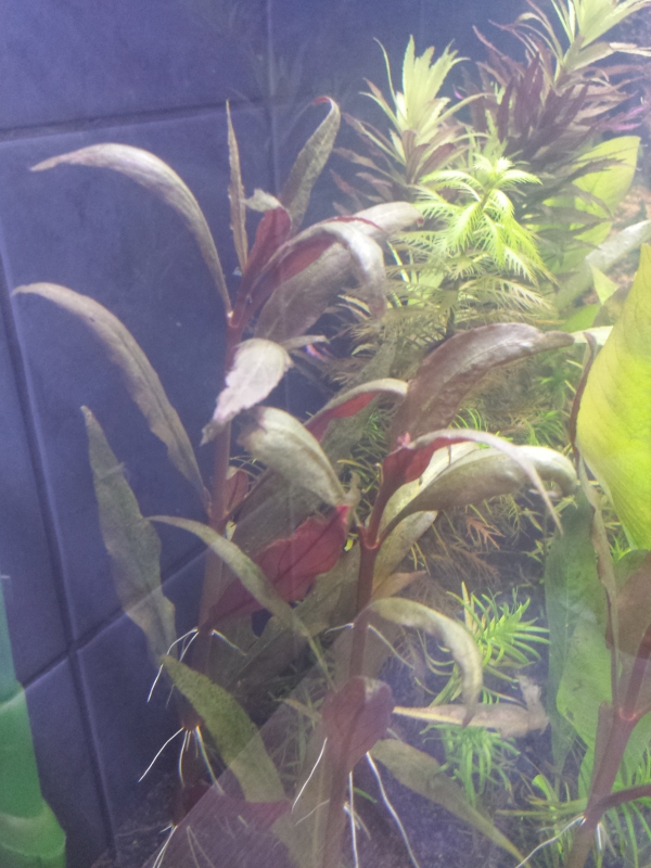 20160131_182921.jpg