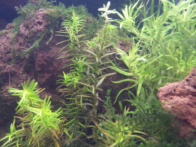 20160201_102844.jpg