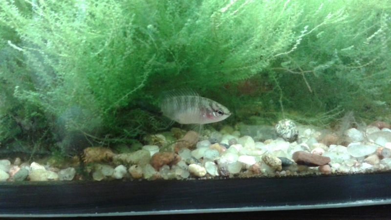 20160206_140948.jpg
