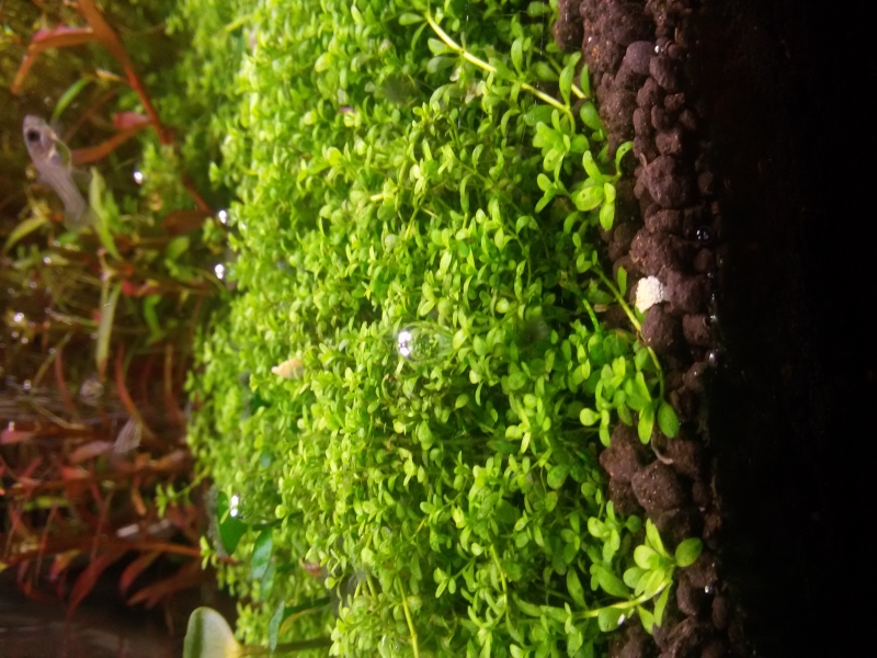20160208_183238.jpg