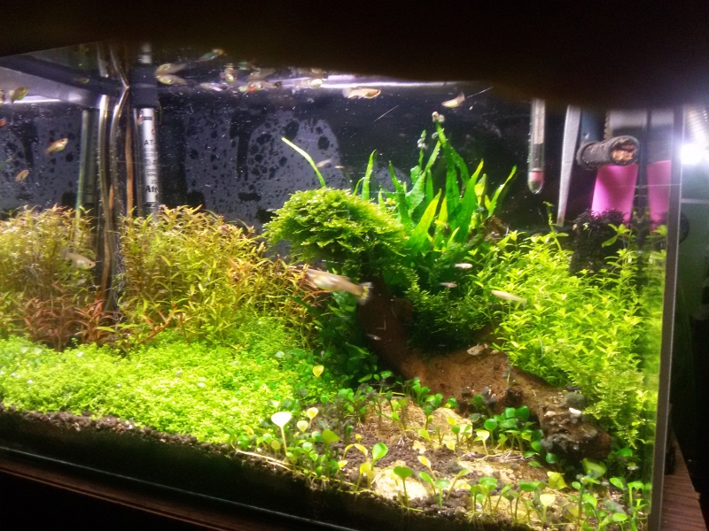 20160208_185551.jpg