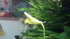 182l - Nature - emildiadiuk
