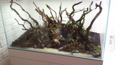 250l - Stones and roots - ynfqaab