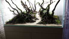250l - Stones and roots - ynfqaab