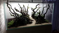 250l - Stones and roots - ynfqaab