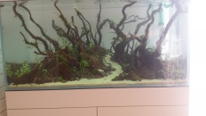 250l - Stones and roots - ynfqaab