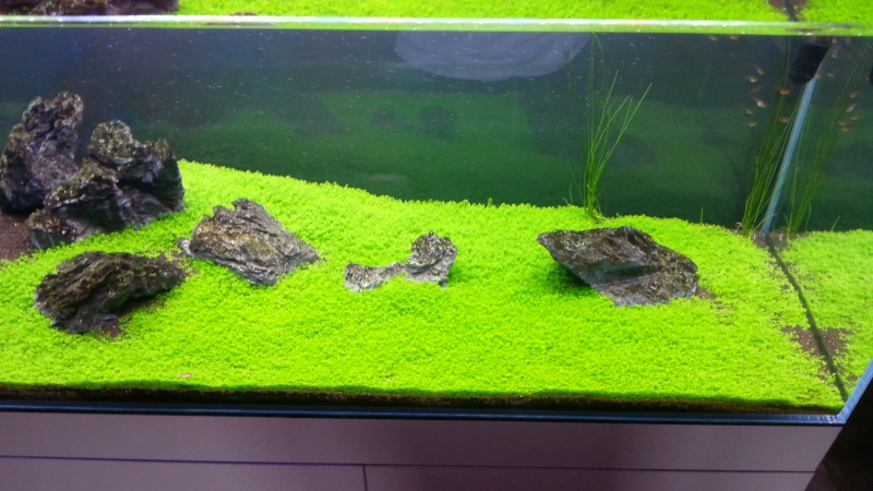 20160214_152227.jpg