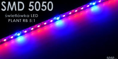 Świetlówka LED PLANT dla roślin 80cm akwarium GROW.jpg