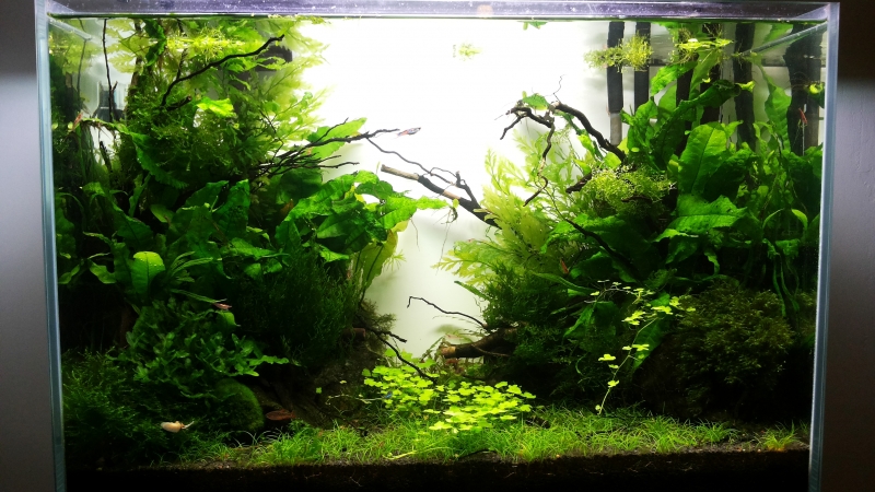 20160218_204927.jpg