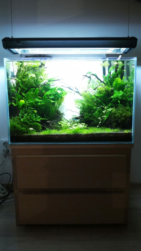 20160218_204952.jpg