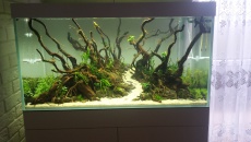 250l - Stones and roots - ynfqaab