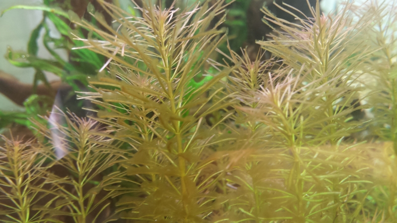 20160227_103032.jpg