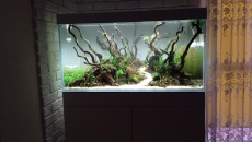 250l - Stones and roots - ynfqaab