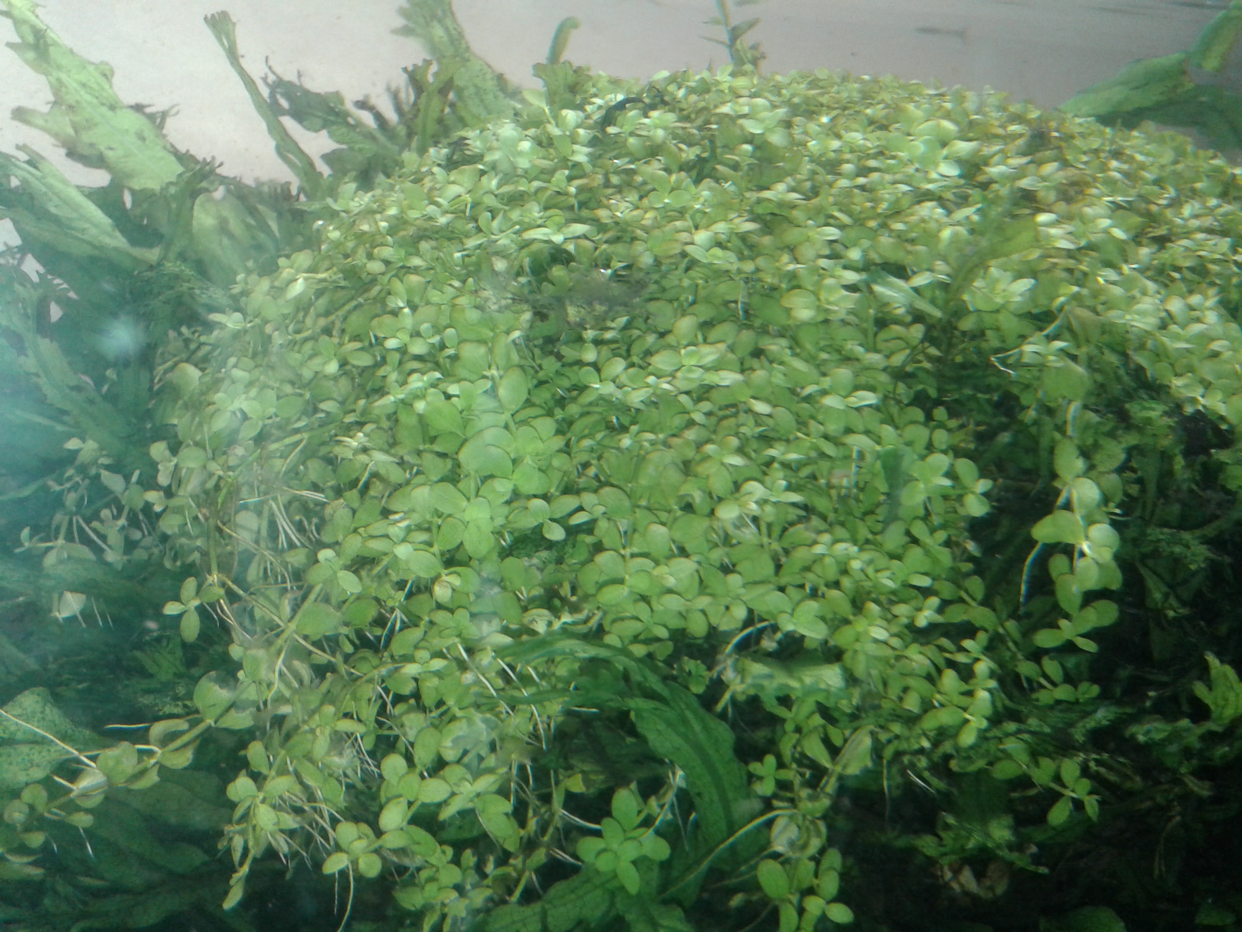 20160305_105044.jpg